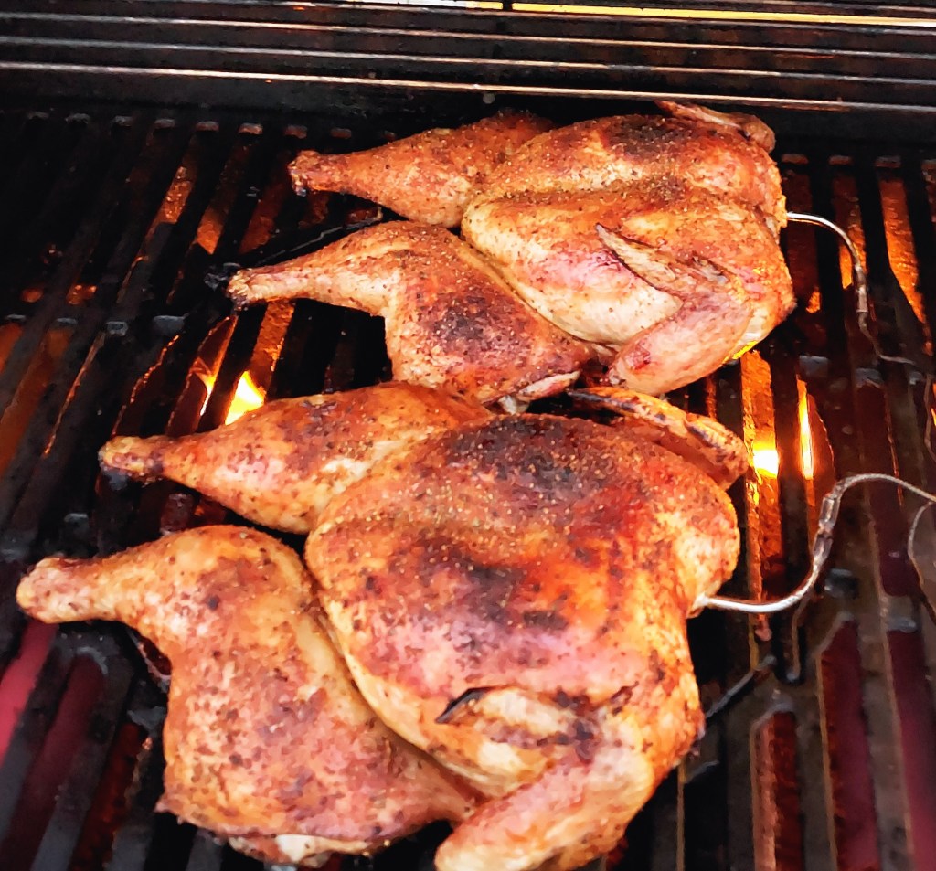 kjarnhiti kjúklings